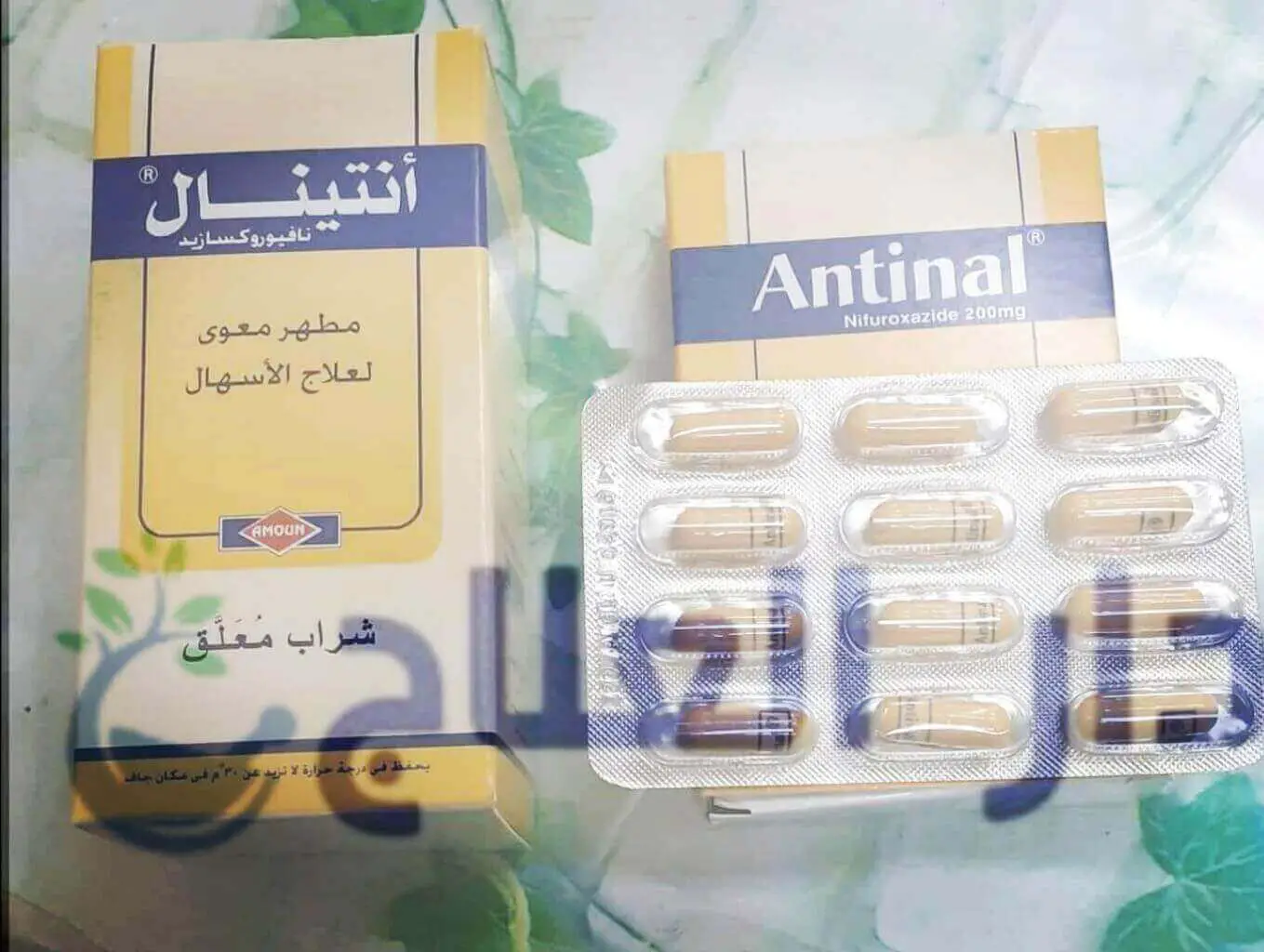 انتينال - انتينال اقراص - انتينال كبسول - دواء انتينال - antinal