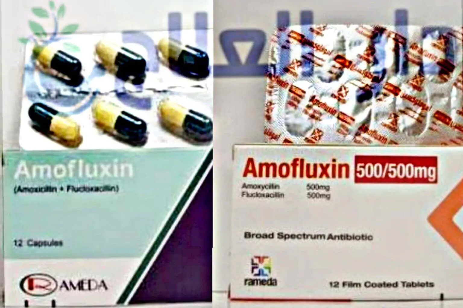 اموفلوكسين - دواء اموفلوكسين - برشام اموفلوكسين - كبسول اموفلوكسين - اقراص اموفلوكسين - حبوب اموفلوكسين - Amofluxin