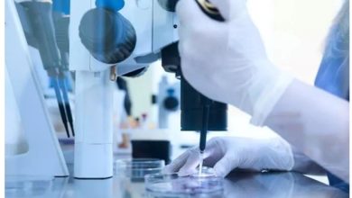 أفضل مركز حقن مجهري في مصر